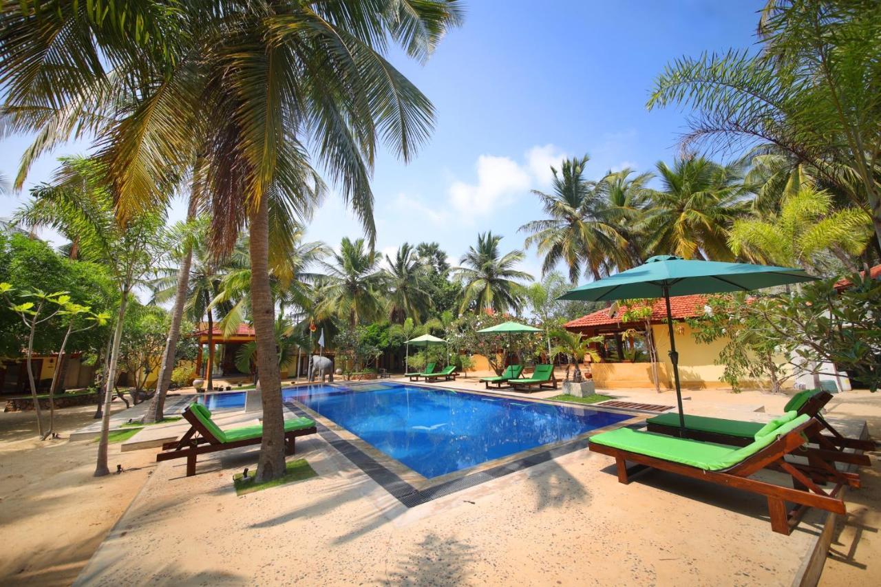 Horizon Kitesurfing Beach Resort 칼피티야 외부 사진